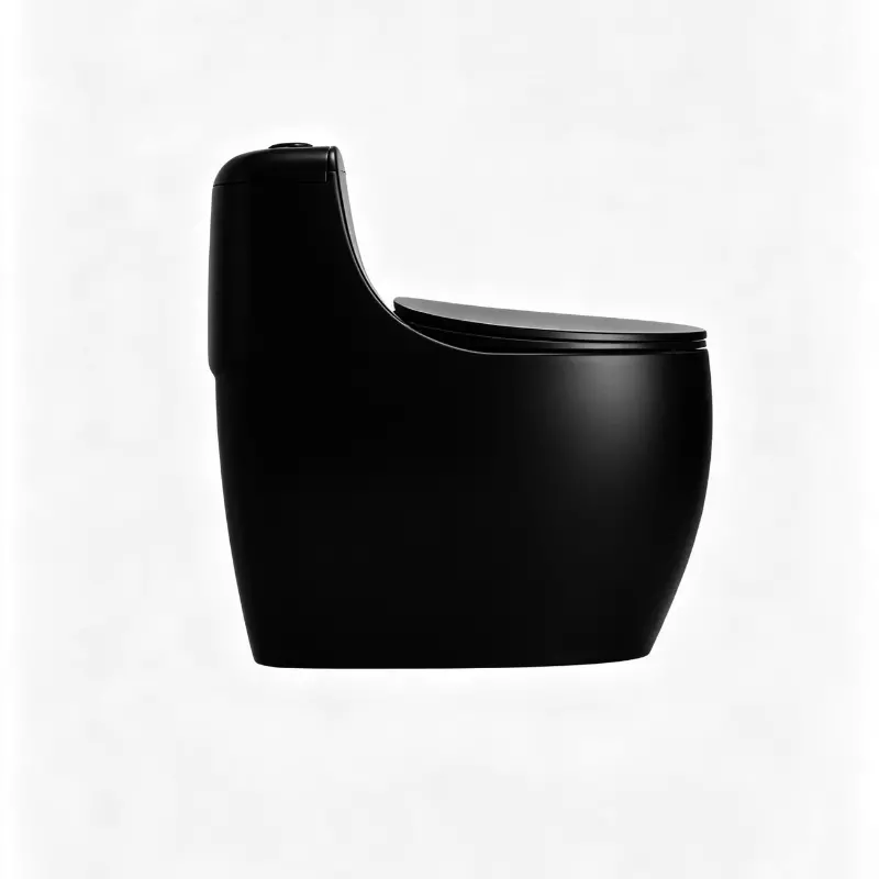 Sanitario One Piece Alana Negro 2